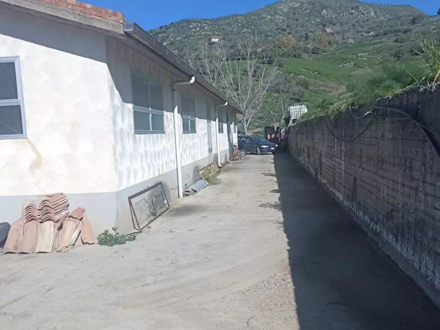 Immagine 8 di Attività artigianale in vendita  a Troina