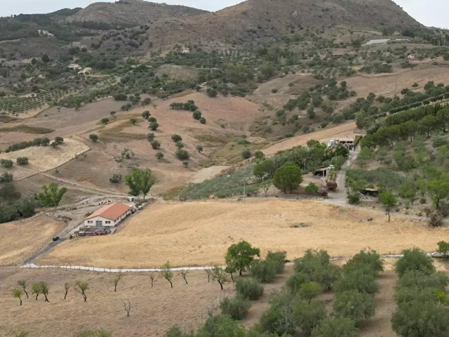 Immagine 29 di Attività artigianale in vendita  a Troina