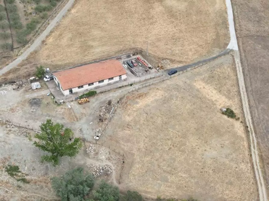 Immagine 21 di Attività artigianale in vendita  a Troina