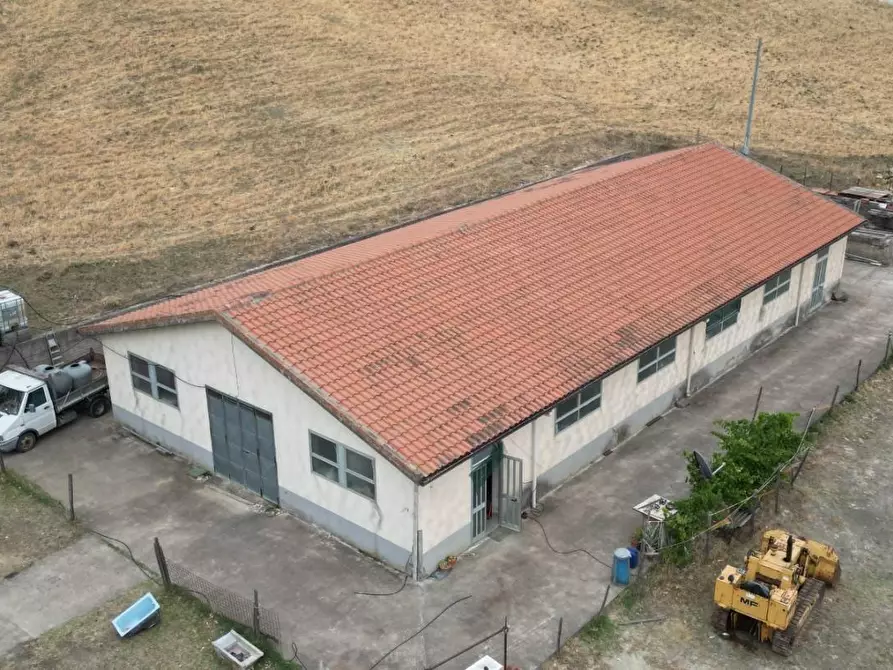 Immagine 18 di Attività artigianale in vendita  a Troina