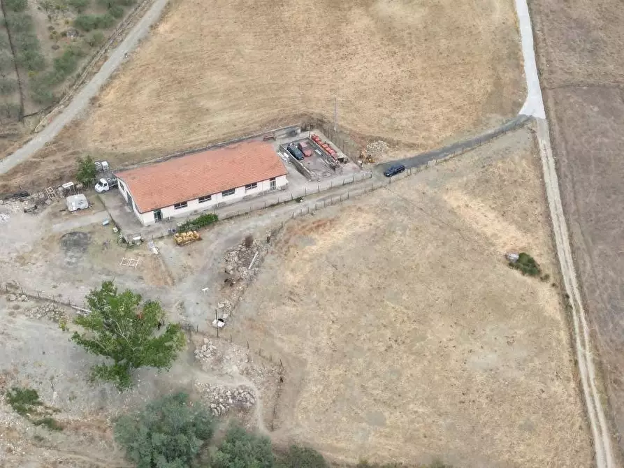 Immagine 2 di Attività artigianale in vendita  a Troina