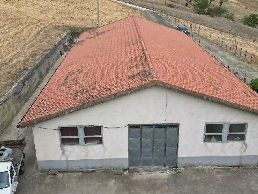 Immagine 26 di Attività artigianale in vendita  a Troina