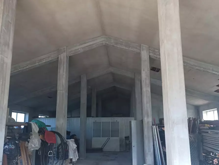 Immagine 13 di Attività artigianale in vendita  a Troina