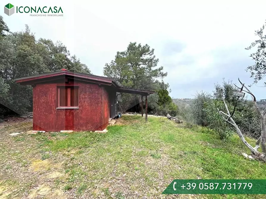 negozio in vendita a Casciana Terme Lari in zona Gramugnana