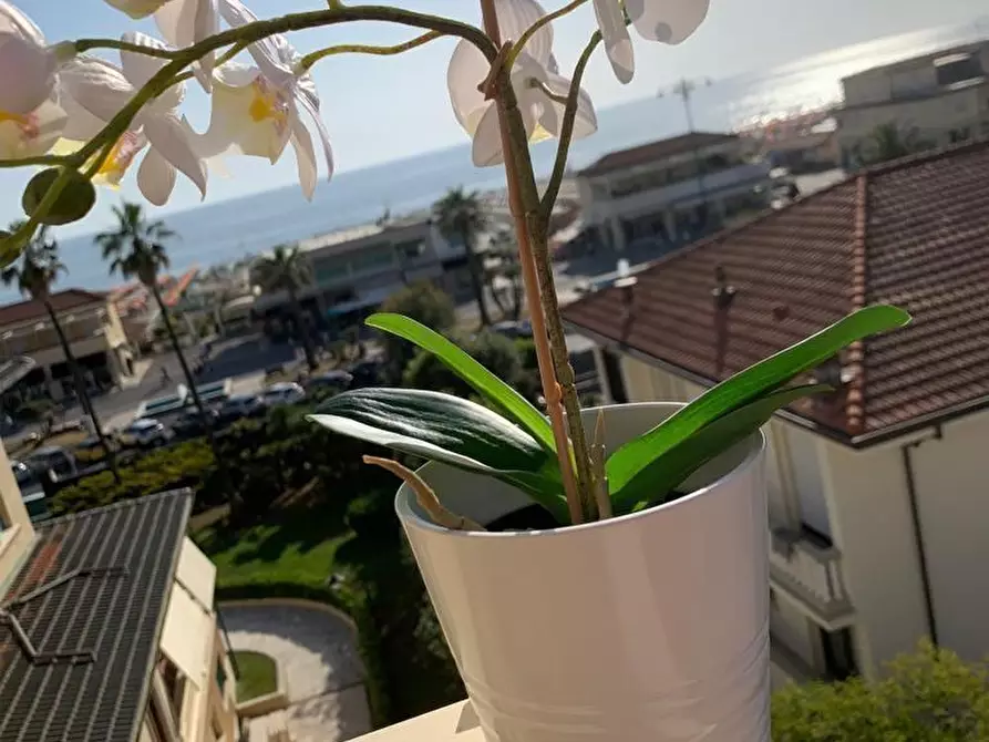 Immagine 2 di Appartamento in vendita  a Viareggio
