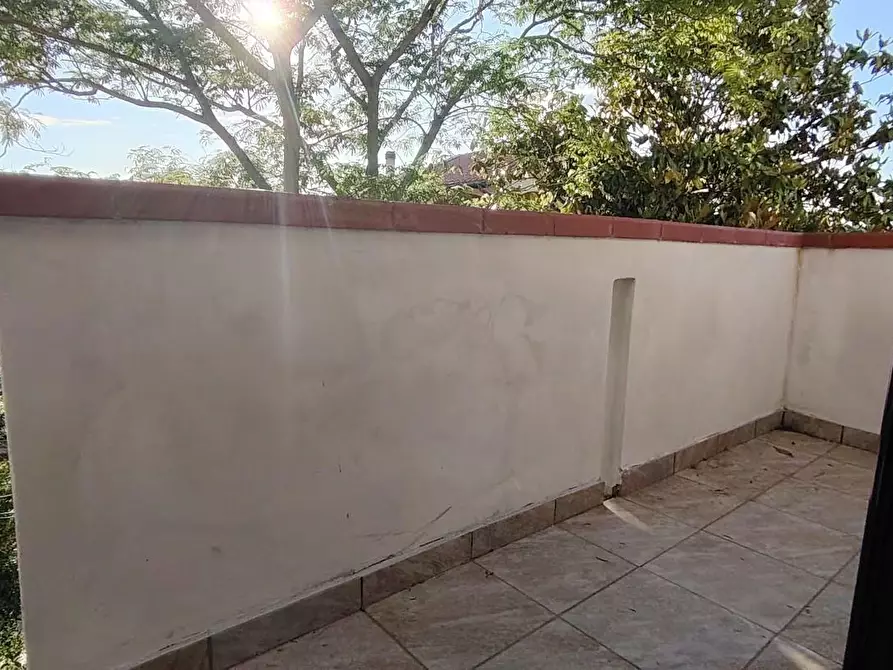 Immagine 11 di Terratetto in vendita  a Casciana Terme Lari