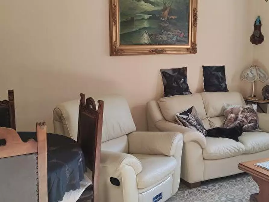 Immagine 16 di Appartamento in vendita  a Arcola