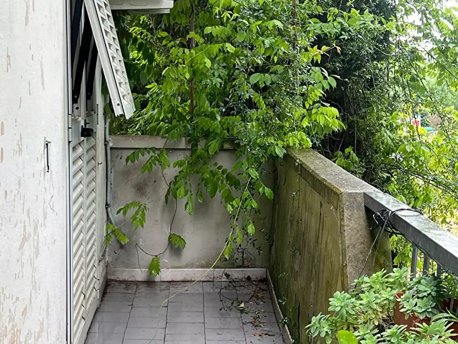 Immagine 33 di Terratetto in vendita  a Cerreto Guidi