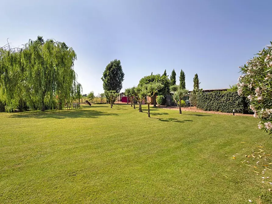 Immagine 15 di Porzione di casa in vendita  a Cascina