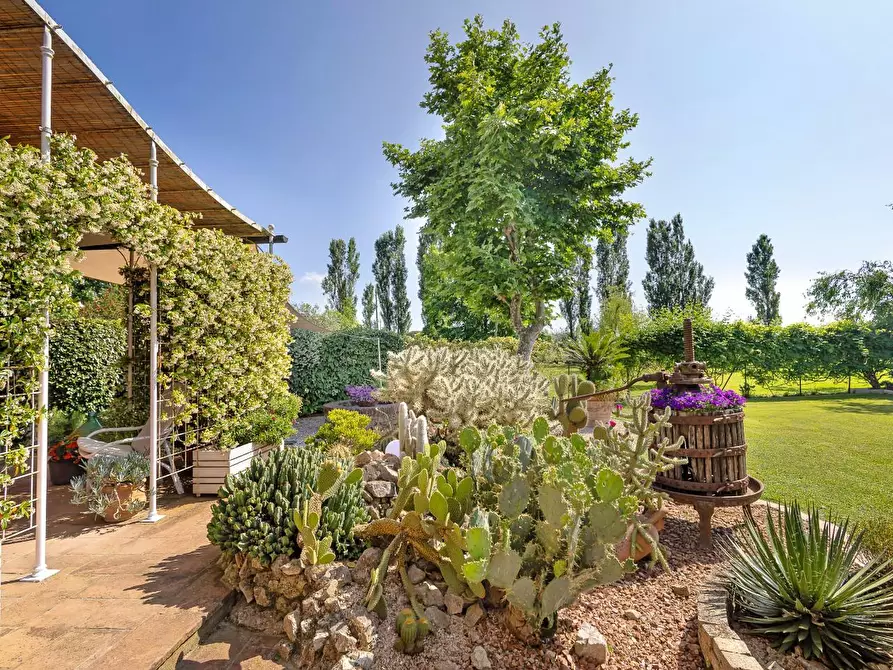 Immagine 9 di Porzione di casa in vendita  a Cascina