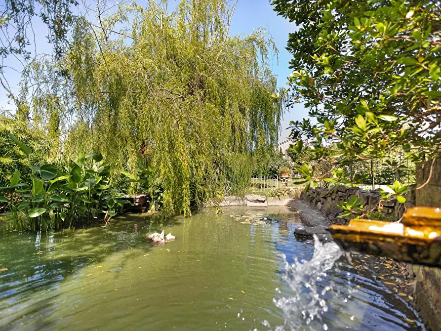Immagine 13 di Porzione di casa in vendita  a Cascina