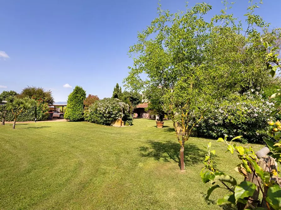 Immagine 14 di Porzione di casa in vendita  a Cascina