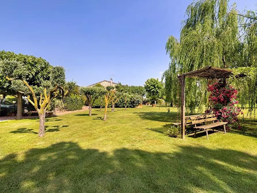 Immagine 11 di Porzione di casa in vendita  a Cascina