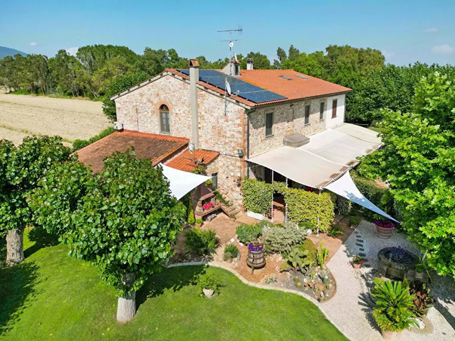 Immagine 3 di Porzione di casa in vendita  a Cascina