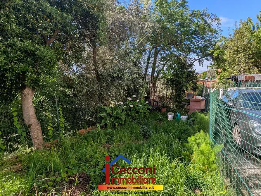 Immagine 3 di Appartamento in vendita  a Lamporecchio