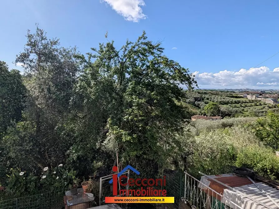 Immagine 4 di Appartamento in vendita  a Lamporecchio