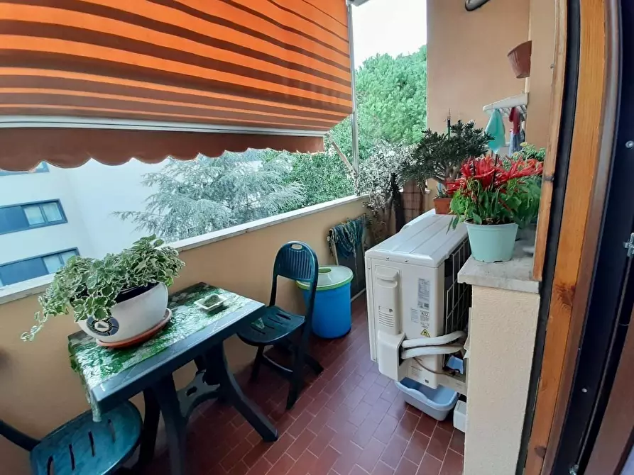 appartamento in vendita a Pisa in zona Le Piagge