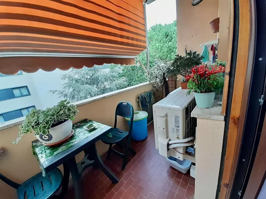 Immagine 5 di Appartamento in vendita  a Pisa