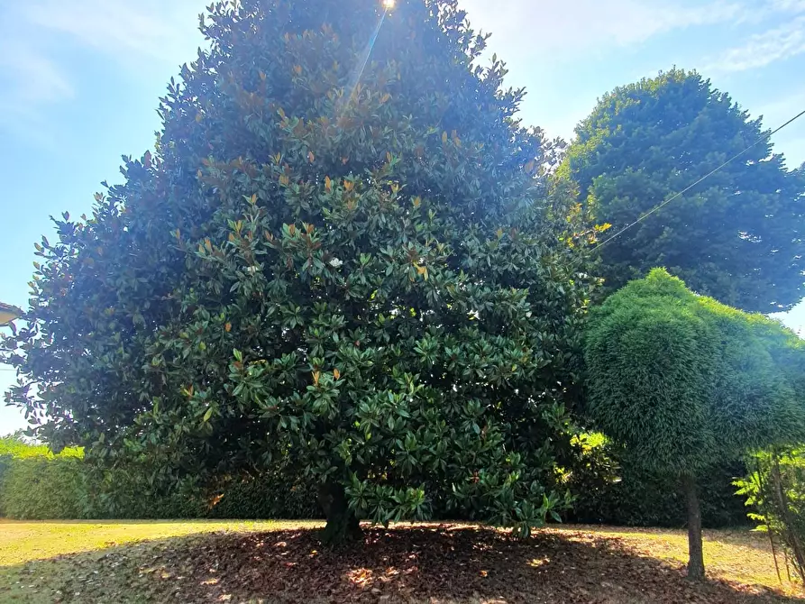 Immagine 30 di Casa bifamiliare in vendita  a Lucca