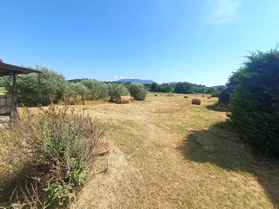 Immagine 82 di Casa bifamiliare in vendita  a Lucca