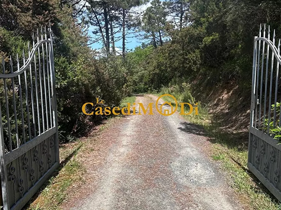 Immagine 2 di Casa indipendente in vendita  a Rosignano Marittimo