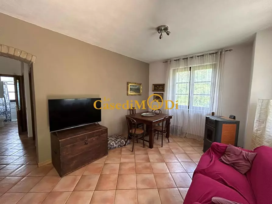 Immagine 11 di Casa indipendente in vendita  a Rosignano Marittimo