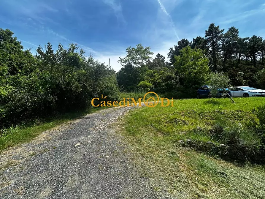 Immagine 3 di Casa indipendente in vendita  a Rosignano Marittimo