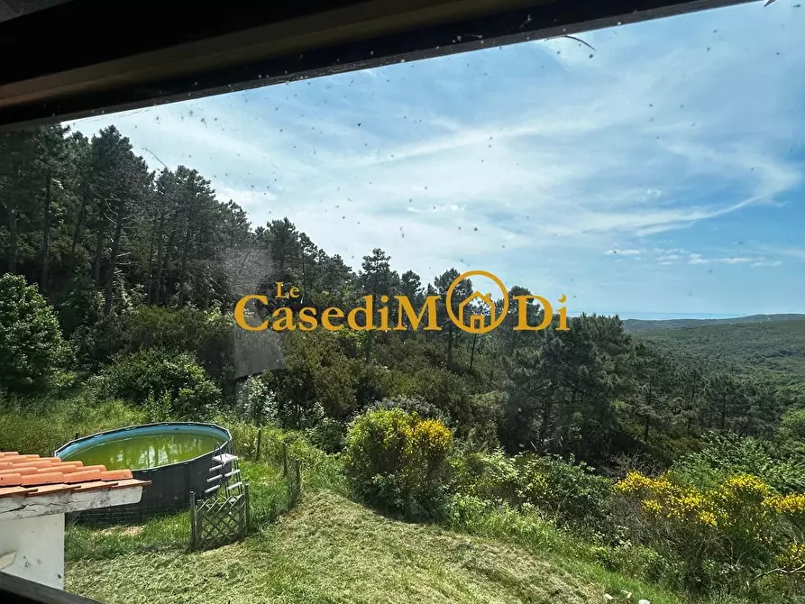 Immagine 8 di Casa indipendente in vendita  a Rosignano Marittimo