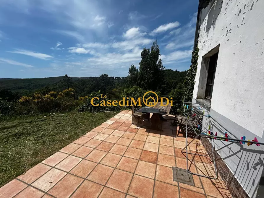 Immagine 7 di Casa indipendente in vendita  a Rosignano Marittimo