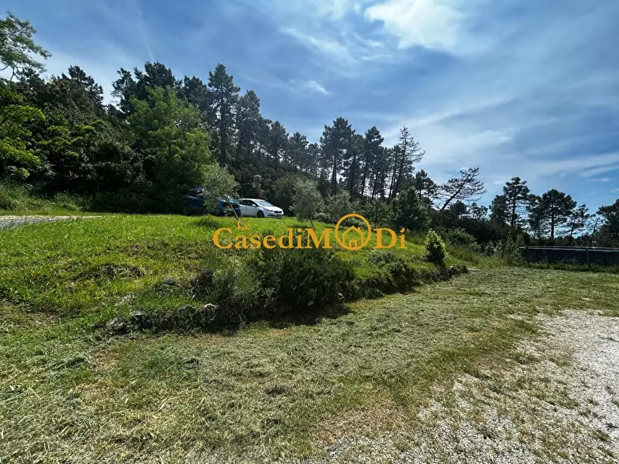 Immagine 4 di Casa indipendente in vendita  a Rosignano Marittimo