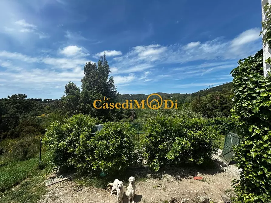 Immagine 5 di Casa indipendente in vendita  a Rosignano Marittimo