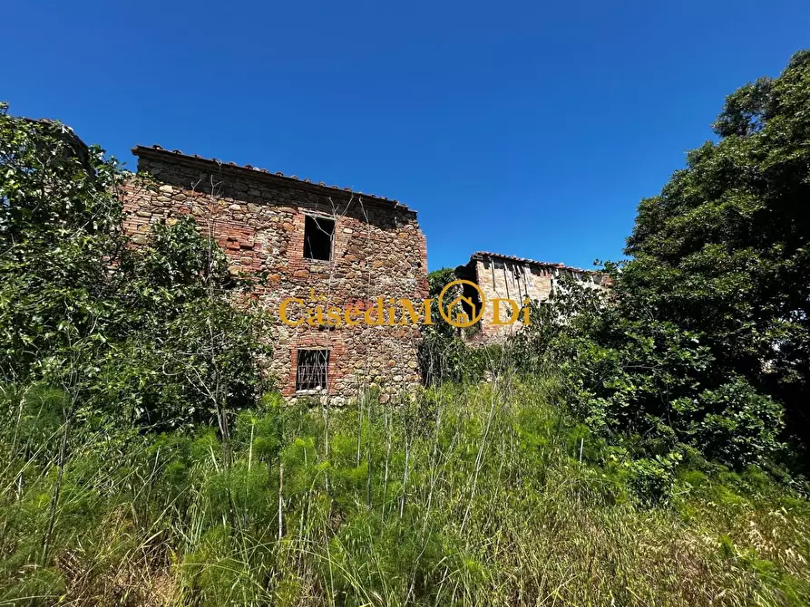 Immagine 6 di Casa colonica in vendita  a Chianni