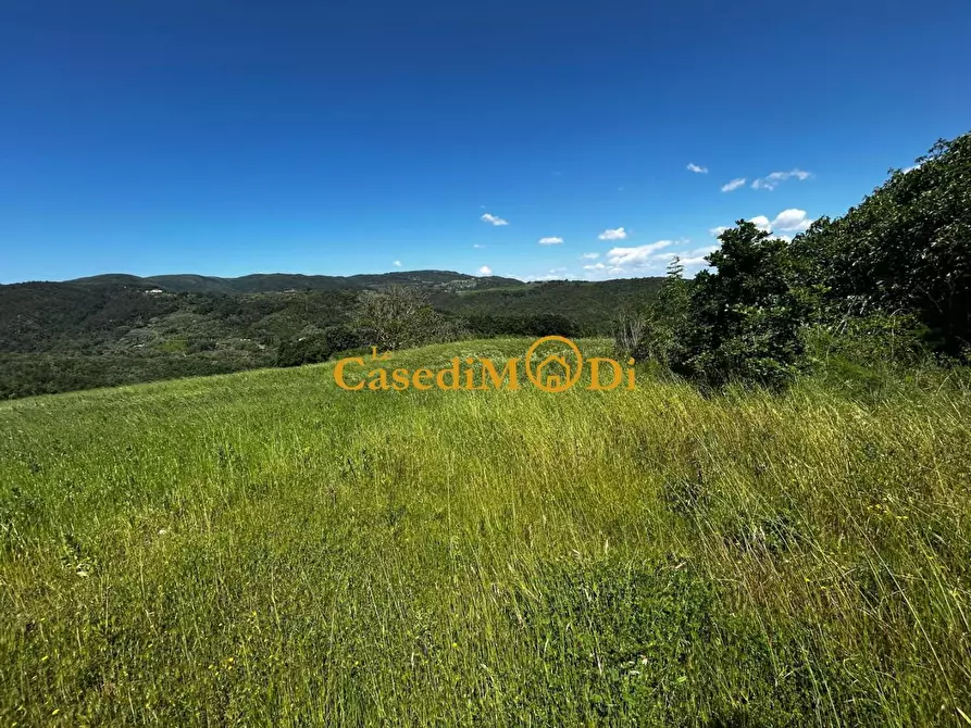 Immagine 8 di Casa colonica in vendita  a Chianni