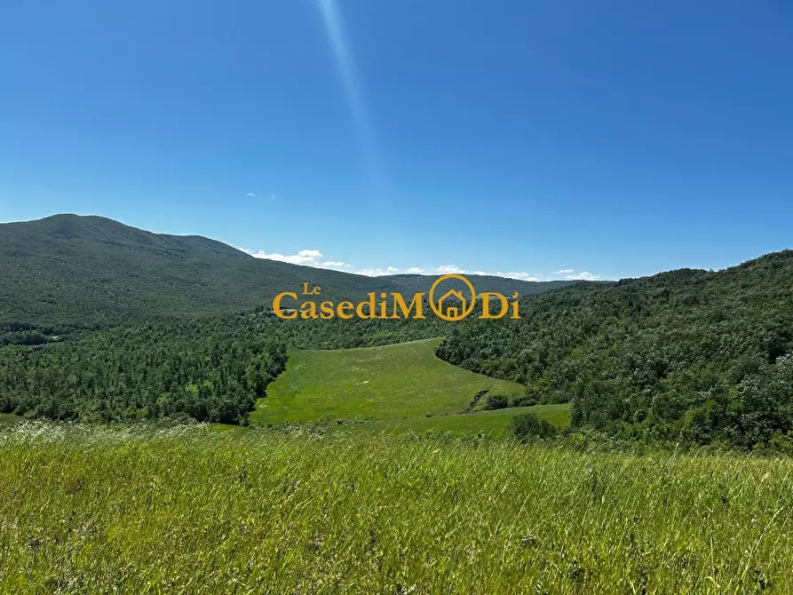 Immagine 10 di Casa colonica in vendita  a Chianni