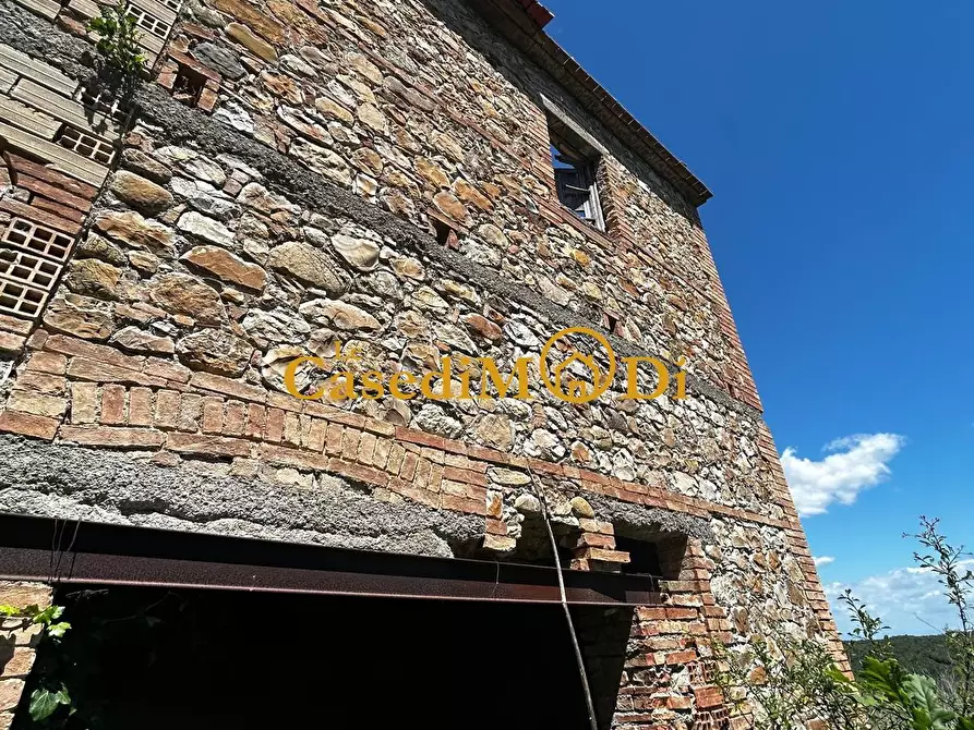 Immagine 18 di Casa colonica in vendita  a Chianni