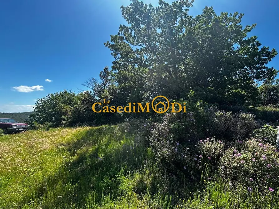 Immagine 14 di Casa colonica in vendita  a Chianni