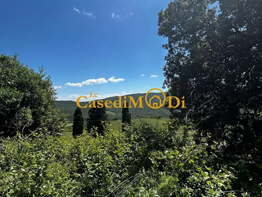 Immagine 22 di Casa colonica in vendita  a Chianni