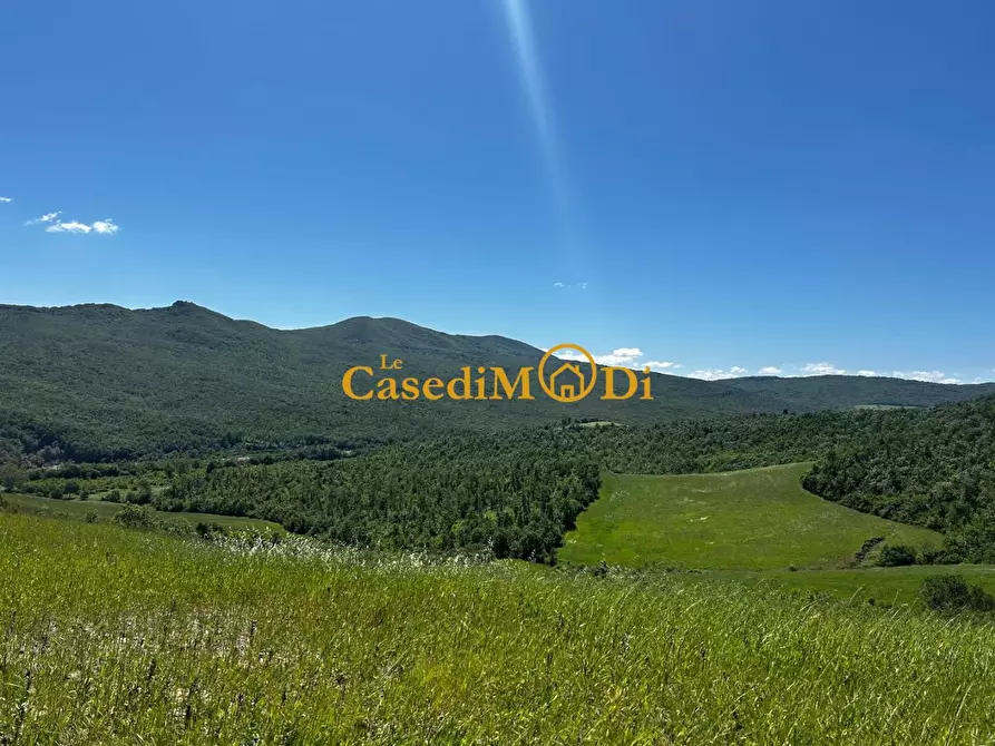 Immagine 1 di Casa colonica in vendita  a Chianni