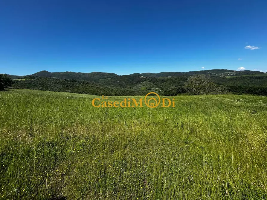 Immagine 16 di Casa colonica in vendita  a Chianni