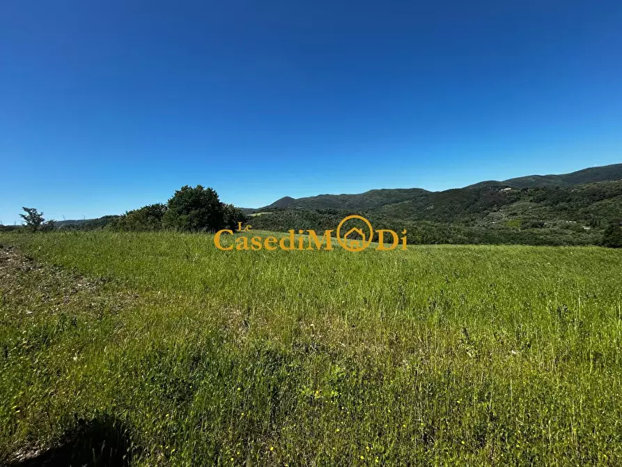 Immagine 13 di Casa colonica in vendita  a Chianni