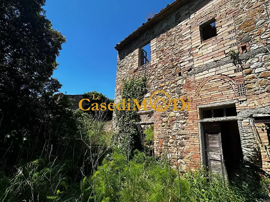 Immagine 5 di Casa colonica in vendita  a Chianni