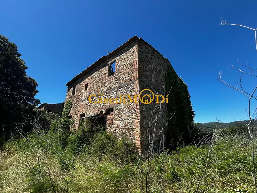 Immagine 3 di Casa colonica in vendita  a Chianni