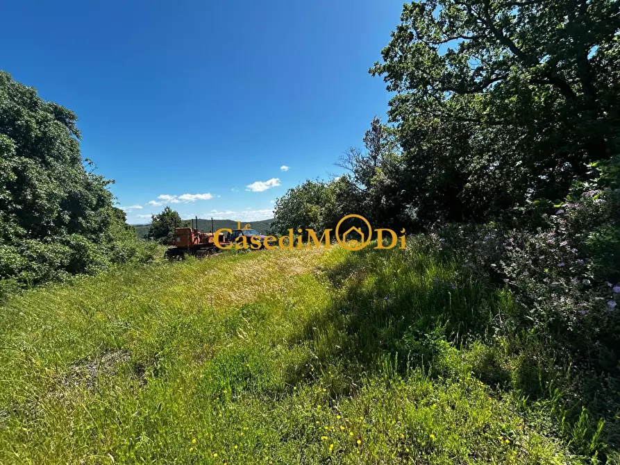 Immagine 15 di Casa colonica in vendita  a Chianni