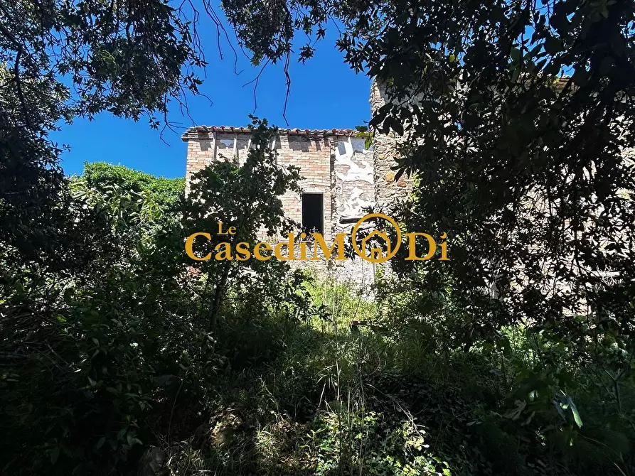 Immagine 4 di Casa colonica in vendita  a Chianni