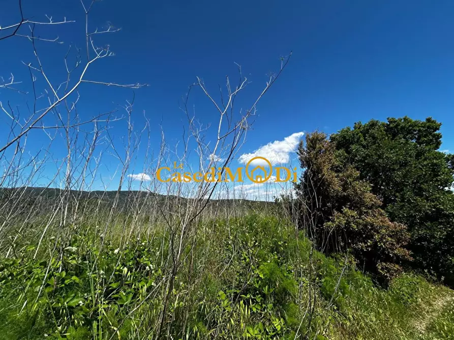 Immagine 11 di Casa colonica in vendita  a Chianni