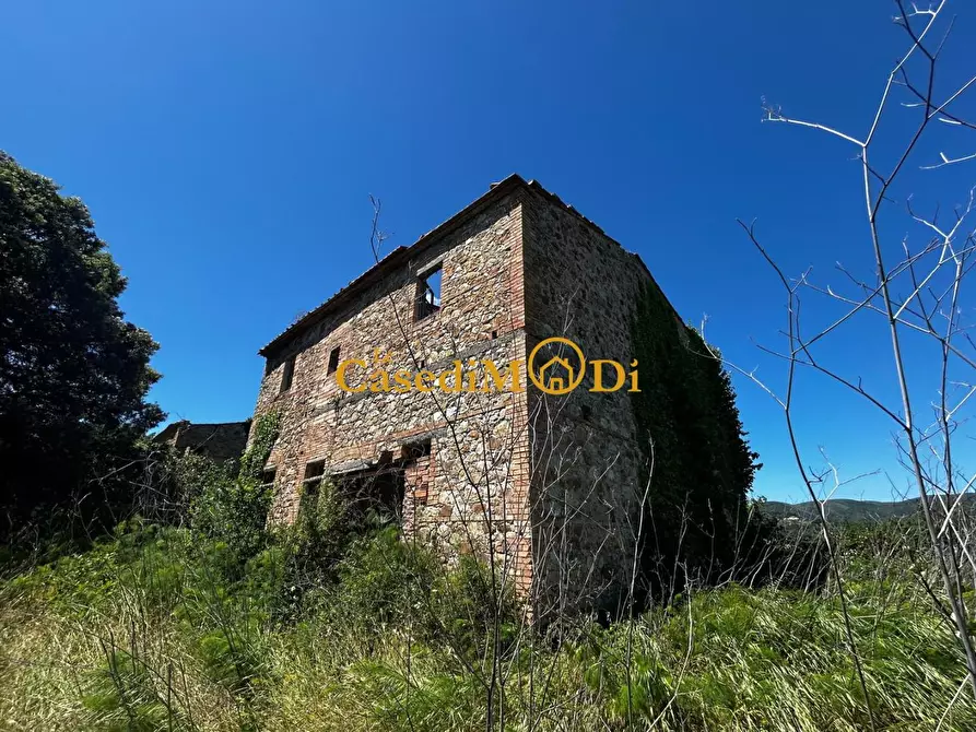 Immagine 20 di Casa colonica in vendita  a Chianni