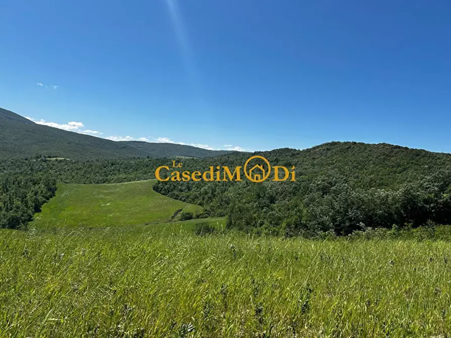 Immagine 7 di Casa colonica in vendita  a Chianni