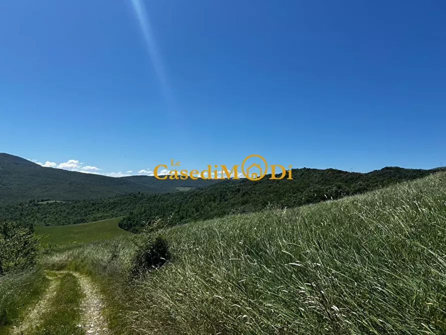Immagine 2 di Casa colonica in vendita  a Chianni