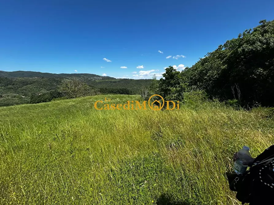 Immagine 12 di Casa colonica in vendita  a Chianni