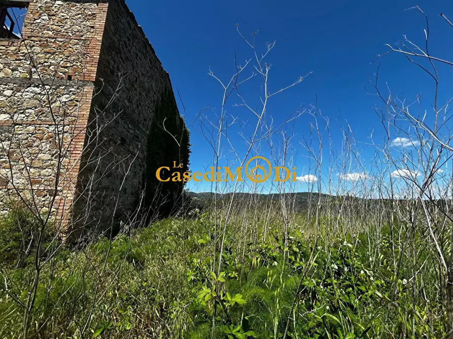 Immagine 21 di Casa colonica in vendita  a Chianni
